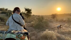 Jaisalmer_Wüstensafari-JEss