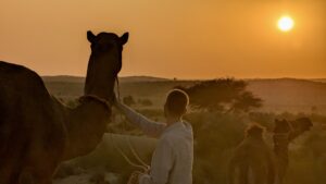Jaisalmer_Wüstensafari_Sascha-Sonne