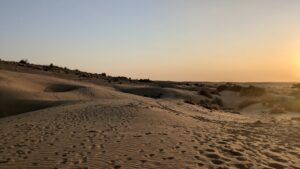 Jaisalmer_Wüstensafari_Sonnenuntergang