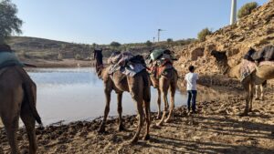 Jaisalmer_Wüstensafari_Trinkpause
