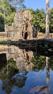 Angkor_TorBaum