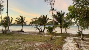 Ausblick_Hotel_SaracenBay