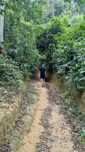 HikingToSaracenBay_LB