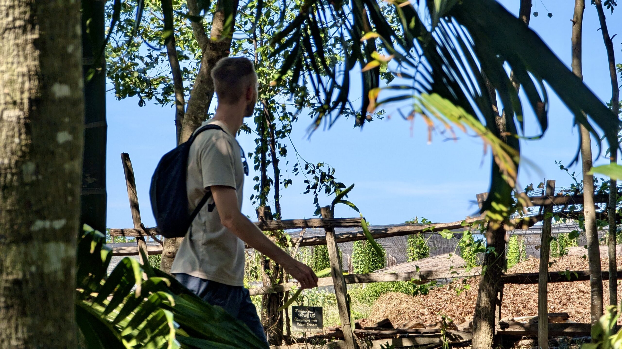 Kampot – Wir waren da wo der Pfeffer wächst!