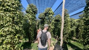 Kampot_PfefferfarmSascha