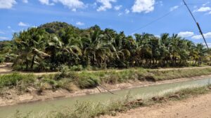 Kampot_WichtigeBeifahrerBilder3