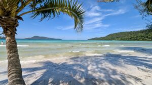 SaracenBay_UnterPalmen