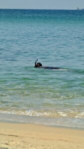 SunsetBeach_SaschaGehtTauchen7