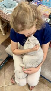 JessiFindetEineKatze