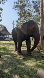 PXL_20250130_060033091