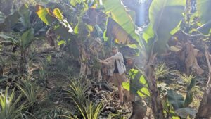 SaschaDerBananenDieb2