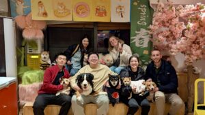 KatzenHundeCafeGruppenbild