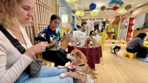 KatzenHundeCafeJessiAzza