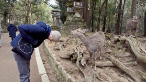 NaraReheSaschaVerbeugung