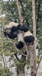 PXL_20250212_012813484