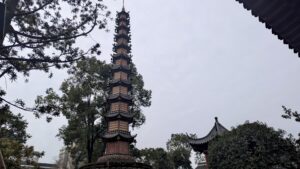 PXL_20250212_052327567.MP