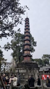 PXL_20250212_052332243.MP