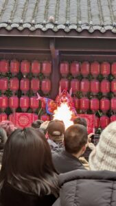 PXL_20250212_083602257