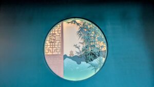 PXL_20250212_094052999.MP