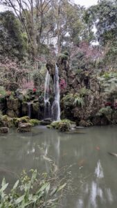 PXL_20250213_073509712.LONG_EXPOSURE-01.COVER