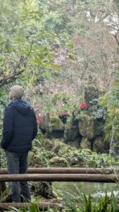 PXL_20250213_073629886