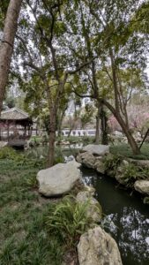 PXL_20250213_074137019