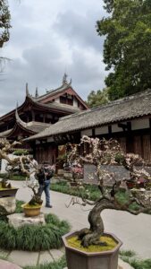 PXL_20250213_074619977.MP