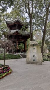 PXL_20250213_080455444