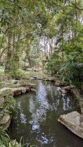 PXL_20250213_080527941