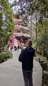 PXL_20250213_080533230.MP