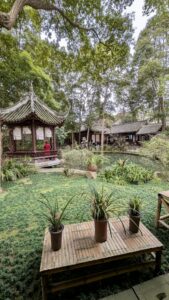 PXL_20250213_081658047.MP