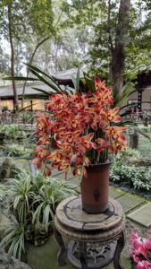 PXL_20250213_082517411