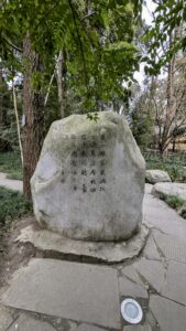 PXL_20250213_082811316