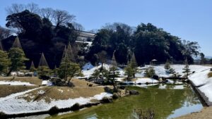 SchlossgartenBäumeHochbinden