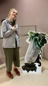 SoKönnteDerKohlAussehen