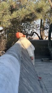 SommerpalastSonneGenießenJessi