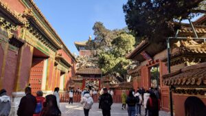 #VerboteneStadtGArten