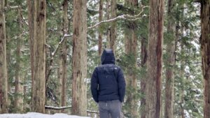 WegZurückZumBusSascha2