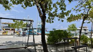 A93E24FA-7F85-4CDD-9CFF-B8B54E337397