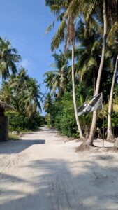 DschungelWegZumStrand2