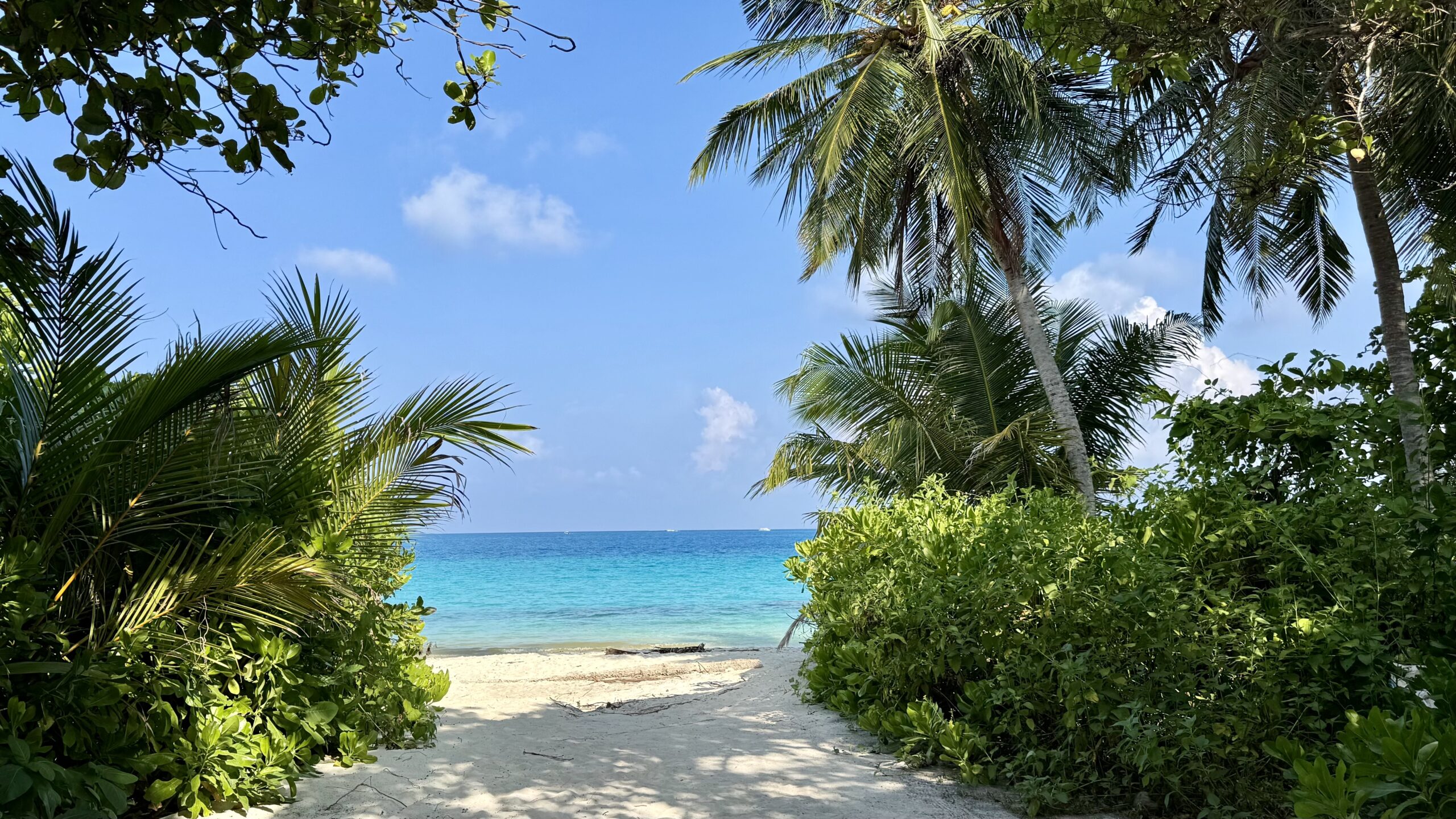 Dhigurah – Ein würdiger Abschluss