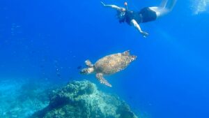 35ed60d9-e038-473e-b138-f09471272a04