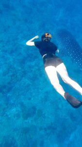 d3b154bb-3521-4bc3-a347-f9ac2dd311eb