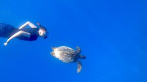 e2e98856-6caa-4dd6-9ae2-3b125010f2c2